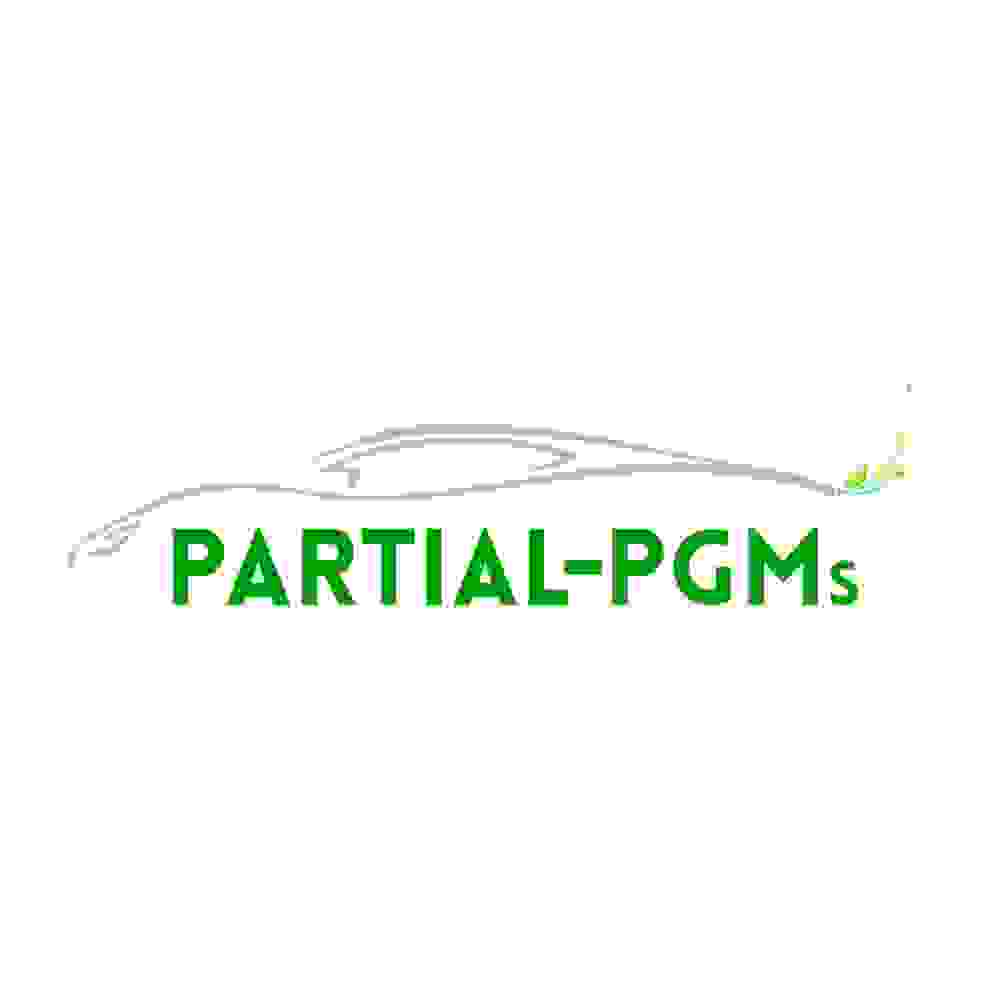 Logo Partial Pgms DEF Trasp.Png